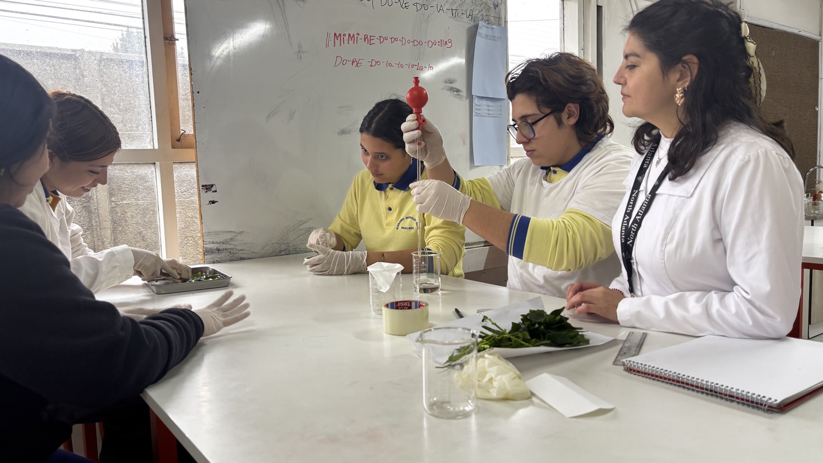 Docente acompañando a estudiantes de Enseñanza Media en una actividad de laboratorio